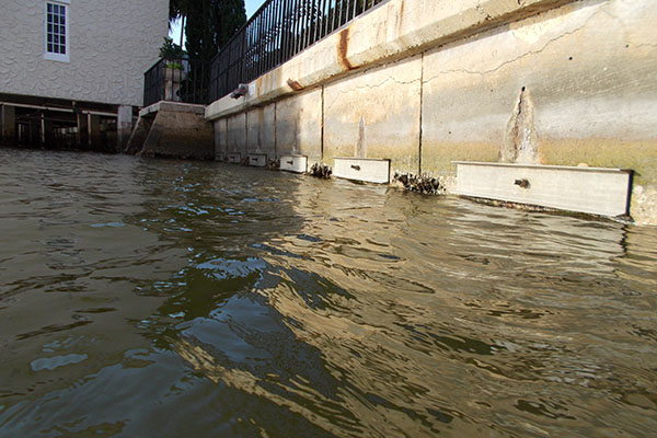 Best Seawall Repair Florida