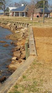 seawall repair toledo bend louisiana